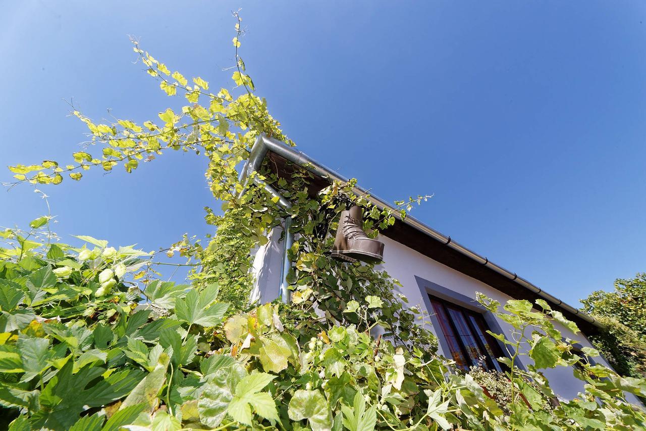 타칼 Pataky Borporta B&B 외부 사진
